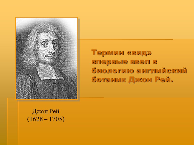 Термин «вид» впервые ввел в биологию английский ботаник Джон Рей. Джон Рей  